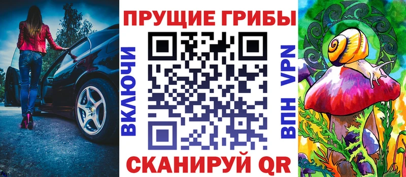 как найти наркотики  Сурск  Галлюциногенные грибы MAGIC MUSHROOMS 